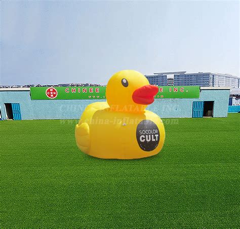 Image result for Deflating Inflatable Duck