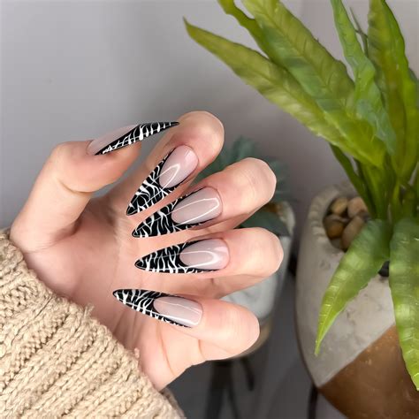 Zebra Print Nail Tips Zebra Nail Designs