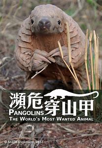 Image result for World's Most Wanted Animal