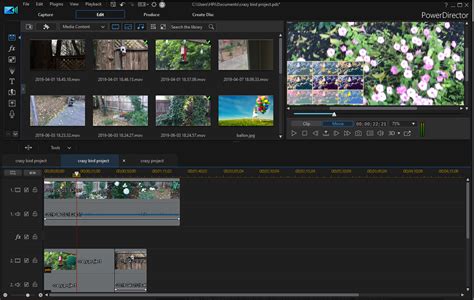PowerDirector 18 Essential Editing Tutorials 的图像结果
