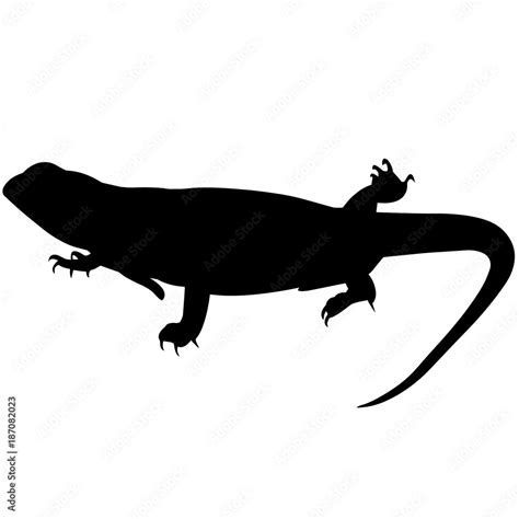 Lizard Silhouette Vector Graphics Stock Vector | Adobe Stock