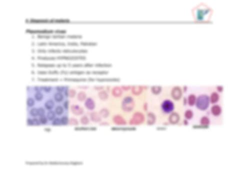 SOLUTION: Diagnosis of malaria in the peripheral blood smear 2 - Studypool
