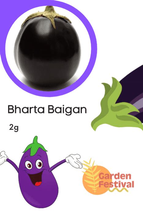 Bharta Baigan Hybrid Quality Seed | Farmers Stop