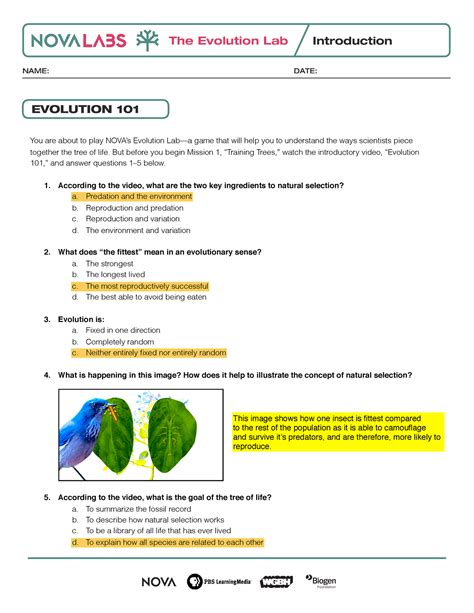 Nova Labs Evolution Quizlet at Keira Crampton blog