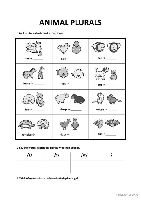 Irregular Plurals In English