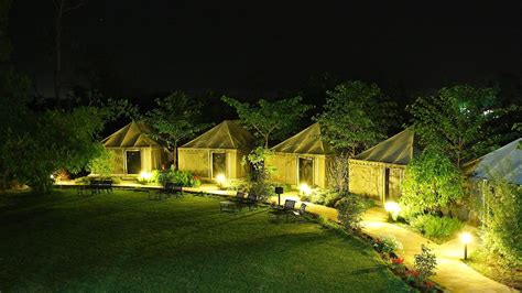 The Golden Tusk Jim Corbett - Book New Year Packages 2025 @8130781111