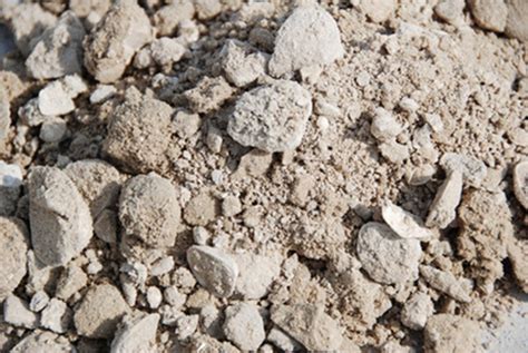 Image result for Bank Run Shell