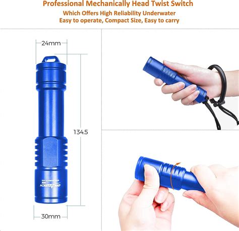 Image result for Diving Torch