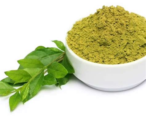 How to Make Henna Powder From Leaves in Hindi| मेहंदी का पाउडर कैसे ...
