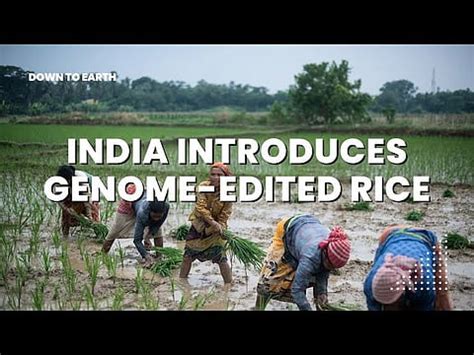 latest news and updates on Agriculture, Farming, Food Processing, Farm ...