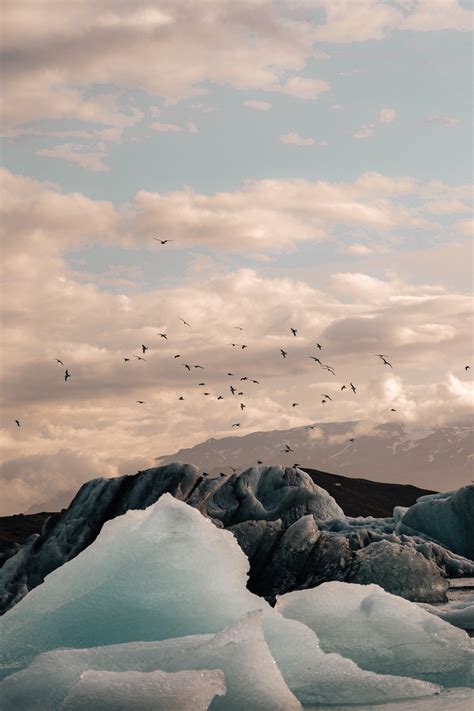 Download wallpaper 2400x3600 ice, ice floes, rocks, birds, mountains hd ...