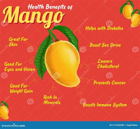 Health Benefits of Mango. Seasonal Fruit Stock Vector - Illustration of information ...
