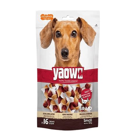 Buy Gnawlers Yaowo Braid Chicken and Liver Dog Treats (6cm) Online ...