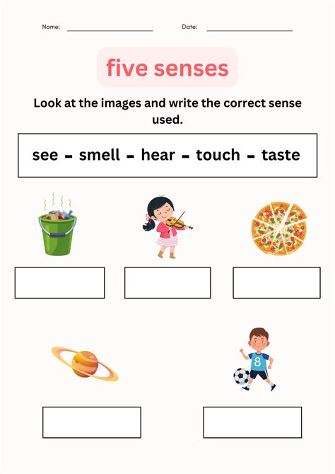 Five Senses Worksheets