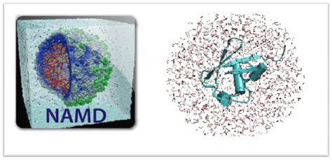 Molecular Dynamics Simulation 的图像结果