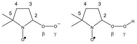 Dmpo H2O2 的图像结果