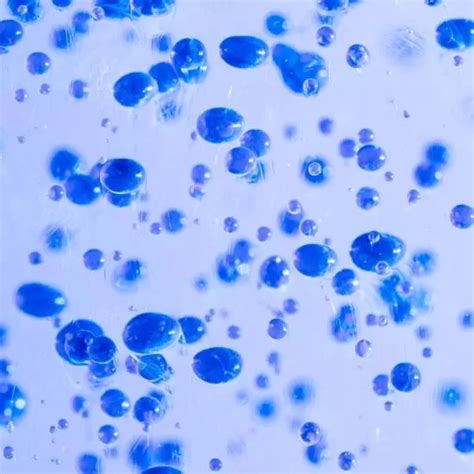 Geimsa Stain