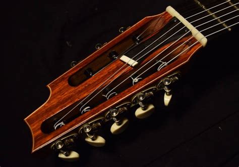 Image result for 8 String Classical