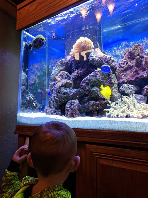 RJ's Courtyard | 3749 Alcoa Hwy, Alcoa, TN 37701, USA