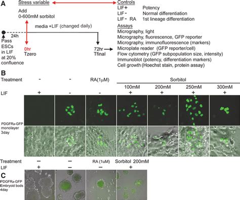 Springer Nature Experiments 的图像结果