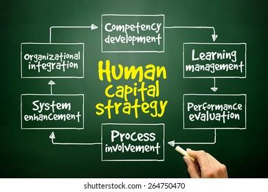 Image result for Human Resource Competency Model