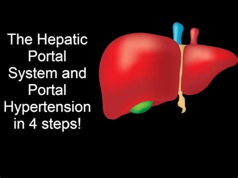Hepatic Portal System Video Lecture - Biology for JAMB