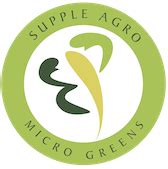 Know About Microgreens | Types & Uses – Microgreens - Supple Agro