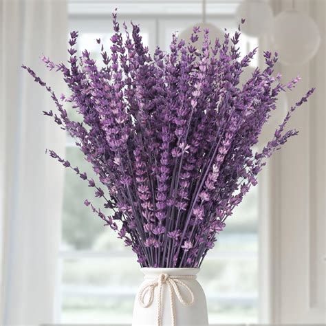 Amazon.com: Dried Purple Lavender Flowers Bundle-Dried Preserved ...