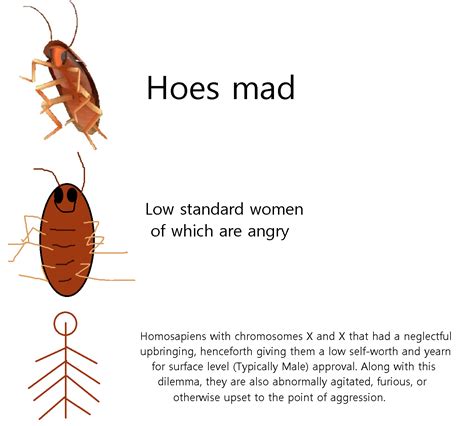 Cockroach Dance Meme 的图像结果
