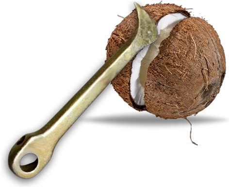 Buy CHILLATAI Heavy Duty Iron Coconut Cracker/Breaker/Slicer/Coconut ...