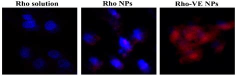 VE-Albumin Core-Shell Nanoparticles for Paclitaxel Delivery to Treat ...