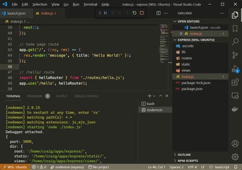 Debugging Node.js in vs Code 的图像结果