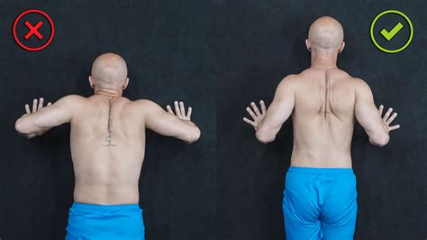 Image result for Push Back Push-Up