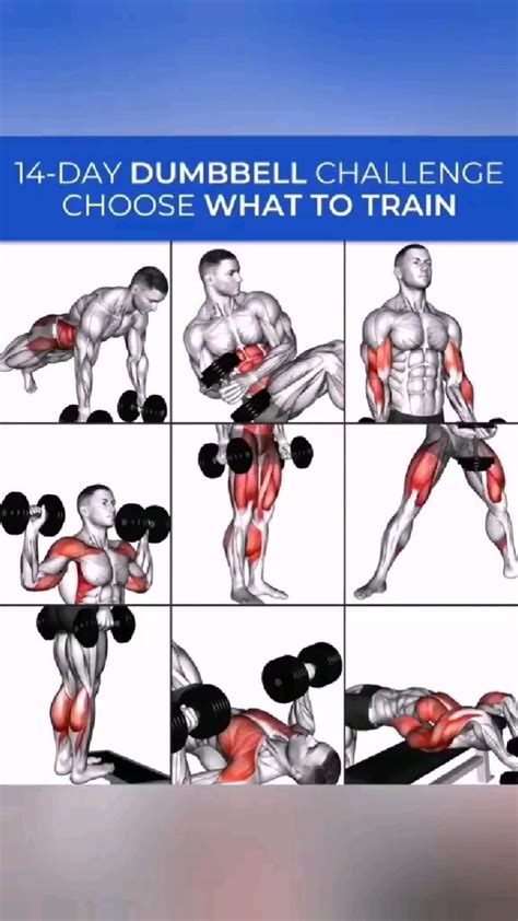 Exercise Work Out Plan 的图像结果