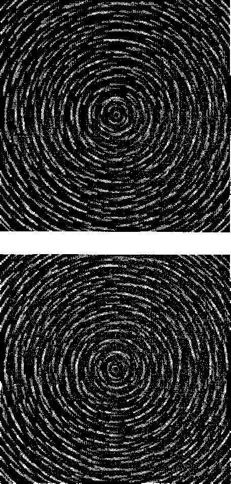 Image result for Line Integral Convolution Image