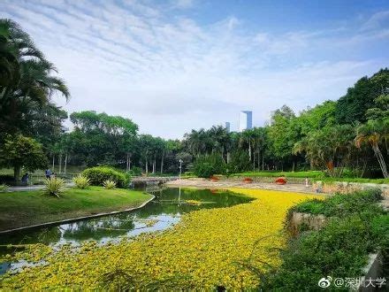 深圳仙湖植物园攻略一日游（深圳仙湖植物园一日游） - 生活 - 布条百科