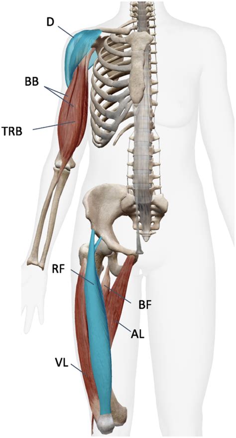 Image result for Complex Systems Examples