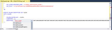 Image result for SQL Encryption Examples