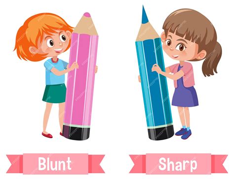 Premium Vector | Opposite English Words blunt and sharp