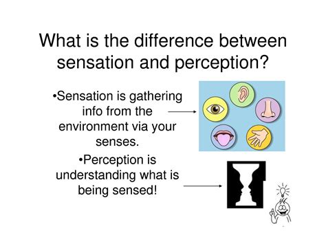 Image result for Sensation and Perception Examples