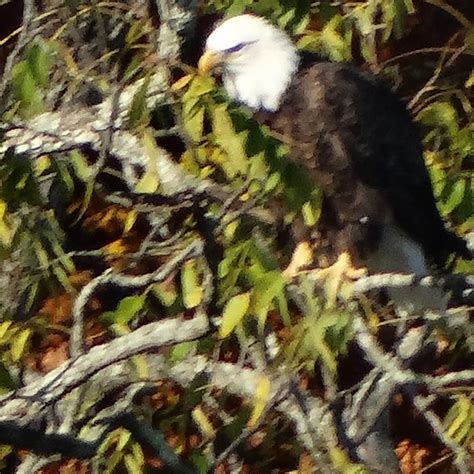 Versailles State Park Campground | Versailles, Indiana