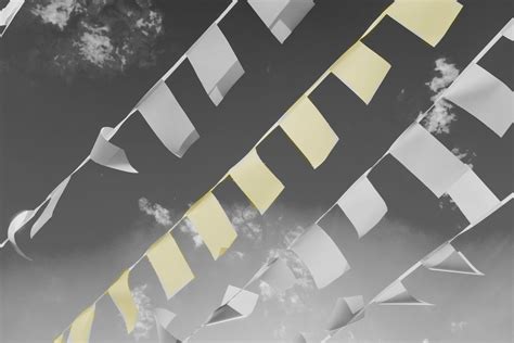 Image result for Vertex Animation