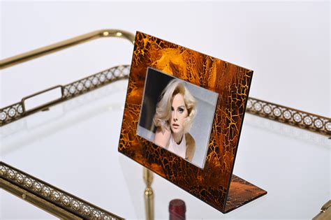 Gabriella Crespi Style Photo Frame in Lucite Tortoiseshell, Italy ...