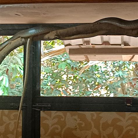 BONDLA WILDLIFE SANCTUARY - All You Need to Know BEFORE You Go 2026 ...