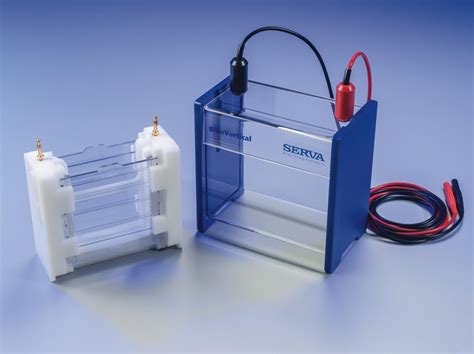 Precast Gels for Urinary Protein Diagnostics: Electrophoresis of Urinary Proteins with SDS Urine ...