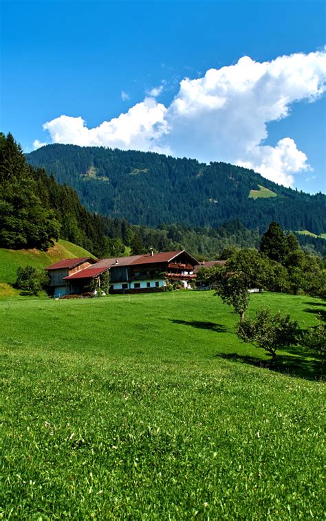 Download wallpaper the sky, grass, clouds, trees, mountains, house ...