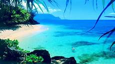 Summer Wallpapers Laptop by Summer Wallpapers Free Pixelstalk Net Summer Wallpapers Laptop