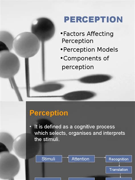 Image result for Different Kinds of Perception