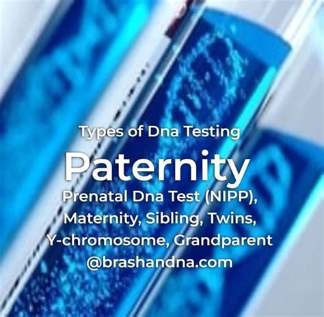 DNA Testing Procedure 的图像结果