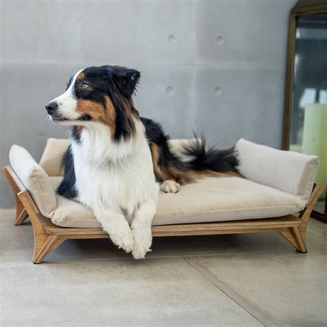 Medium Dog Bed, Medium Size, High-end Dog Bed, Luxury Wood Raised Pet ...